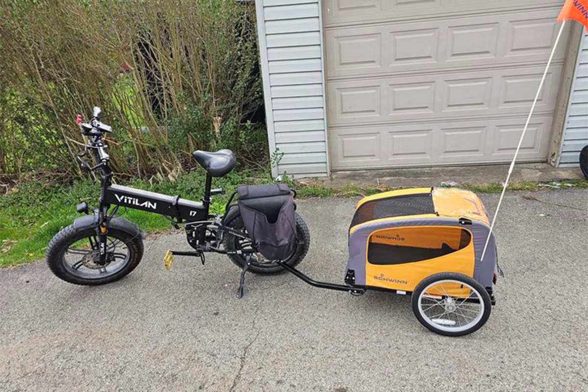 Bike for obese person online