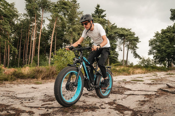 H5 dual-motor fat tyre electric bike