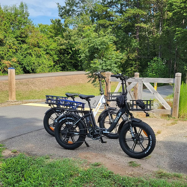 Vitilan electric bike