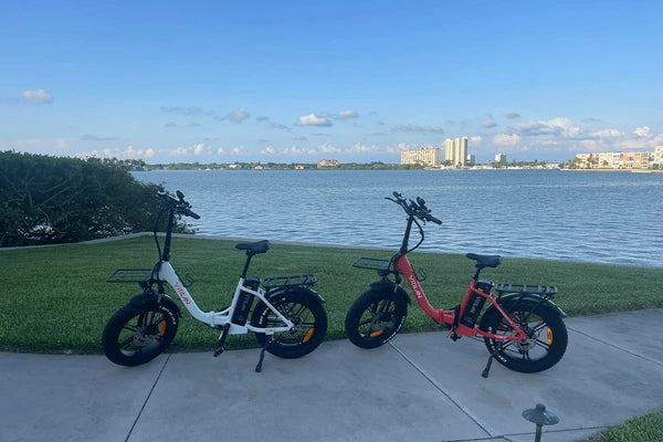 Step Through Electric Bike