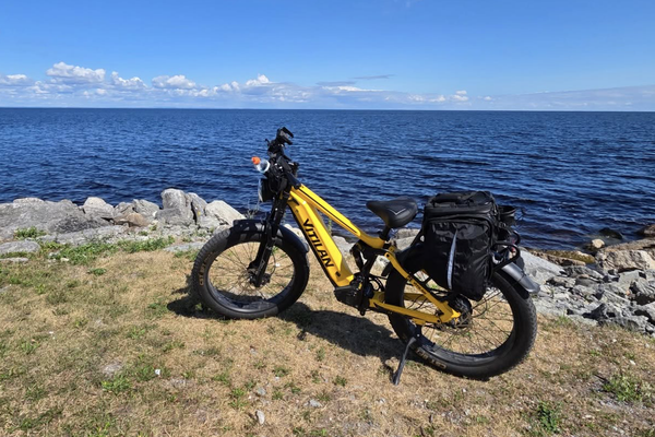 E-Bike Brake Maintenance: A Safety & Performance Guide