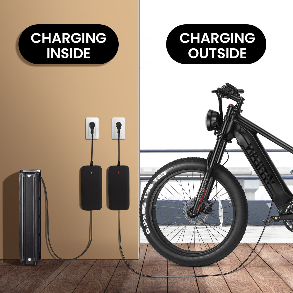 T7 Electric Bike 48V 20Ah Removable Samsung Li-ion Battery