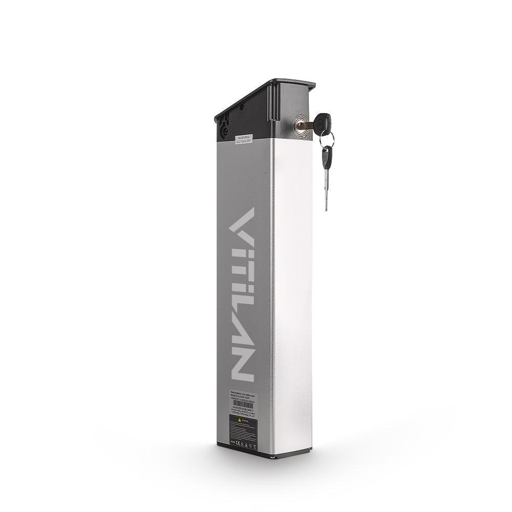 i7pro/i7pro 2.0/i7pro 3.0 Electric Bike LG/SAM-SUNG Battery 48V 16AH/20AH Removable Li-Ion Battery